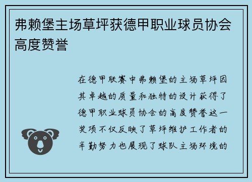 弗赖堡主场草坪获德甲职业球员协会高度赞誉 弗赖堡主场草坪获德甲职业球员协会高度赞誉